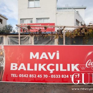 Mavi Balikçılık in Iskele serves fresh fish